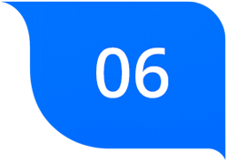 06