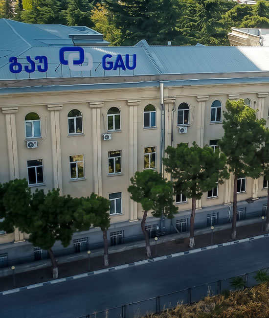 Georgian-American-University
